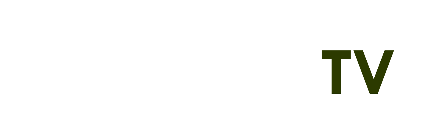 đánh cắp tình yêu